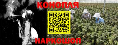 дмт Пыть-Ях