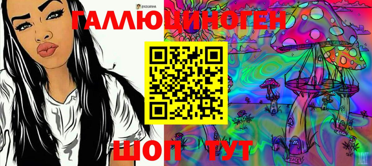 Псилоцибиновые грибы мицелий Алексин
